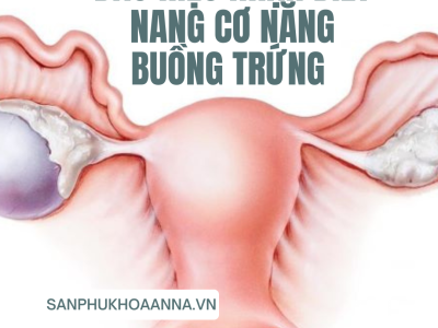 Dấu hiệu nhận biết nang cơ năng buồng trứng - sản phụ khoa Anna